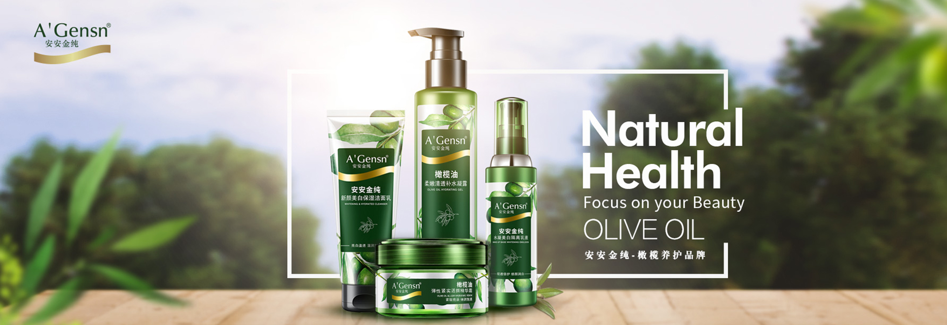 ������ʿ