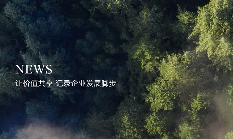 ������ʿ